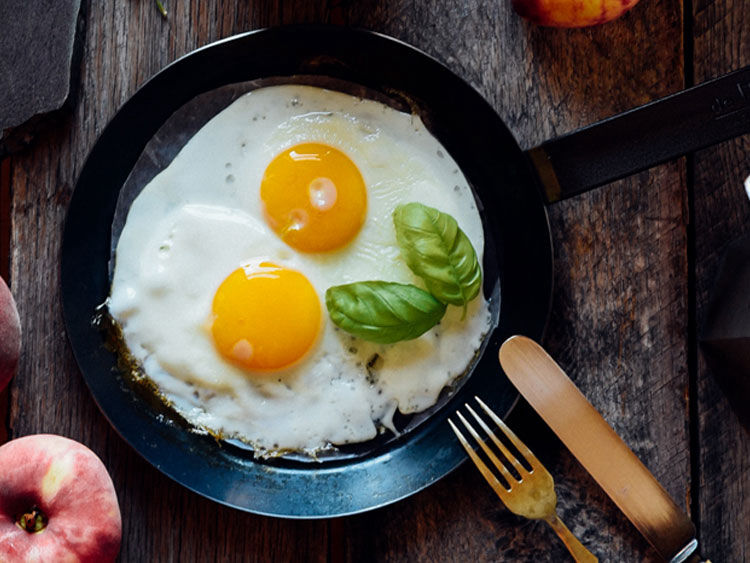 MTONE-Enterprises - Campiana, Extra virgin olive oil